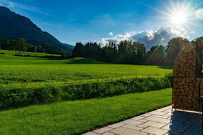 A green field with a stone wall and a clear sky.