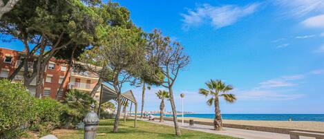 Accommodatie ligt op het strand