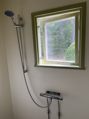 Bathtub, hair dryer, towels, soap