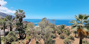 Vista da propriedade
