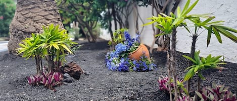A garden with small plants, a tree, and a terracotta pot with flowers.