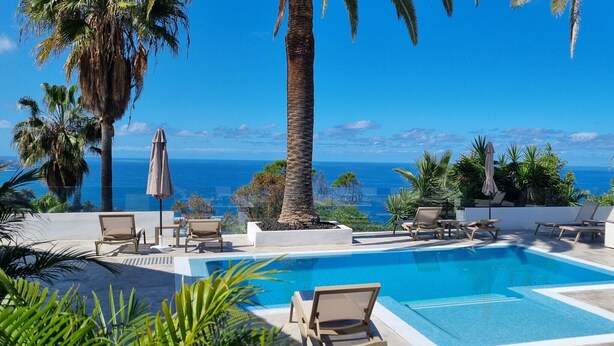 A pool area with lounge chairs and umbrellas, surrounded by palm trees and a view of the ocean.