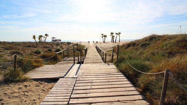 A wooden boardwalk leading to a beach with palm trees and a clear sky.