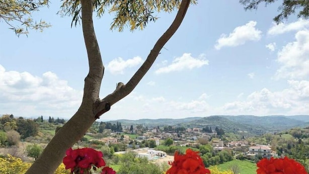 Vista de un pueblo desde un balcón, con un árbol y flores rojas en primer plano.