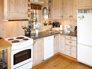 Fridge, microwave, oven, dishwasher - Skafjellstoga by Interhome (Felle)