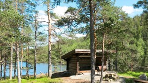 Eine rustikale Holzhütte mit einer Holzterrasse, umgeben von hohen Kiefern und einem See.