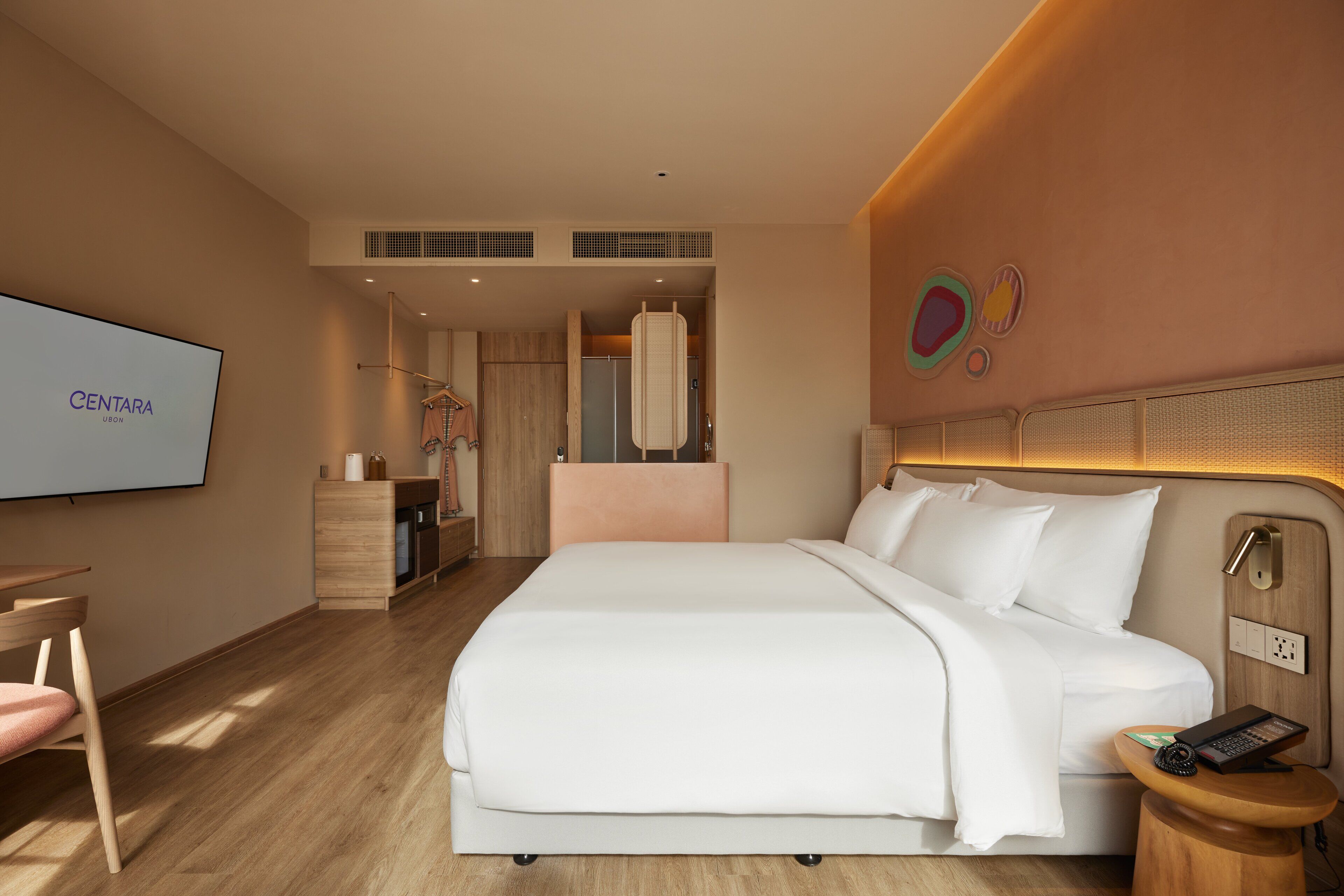Habitación de hotel con una cama grande, un escritorio, una silla, un televisor y zona de ducha.