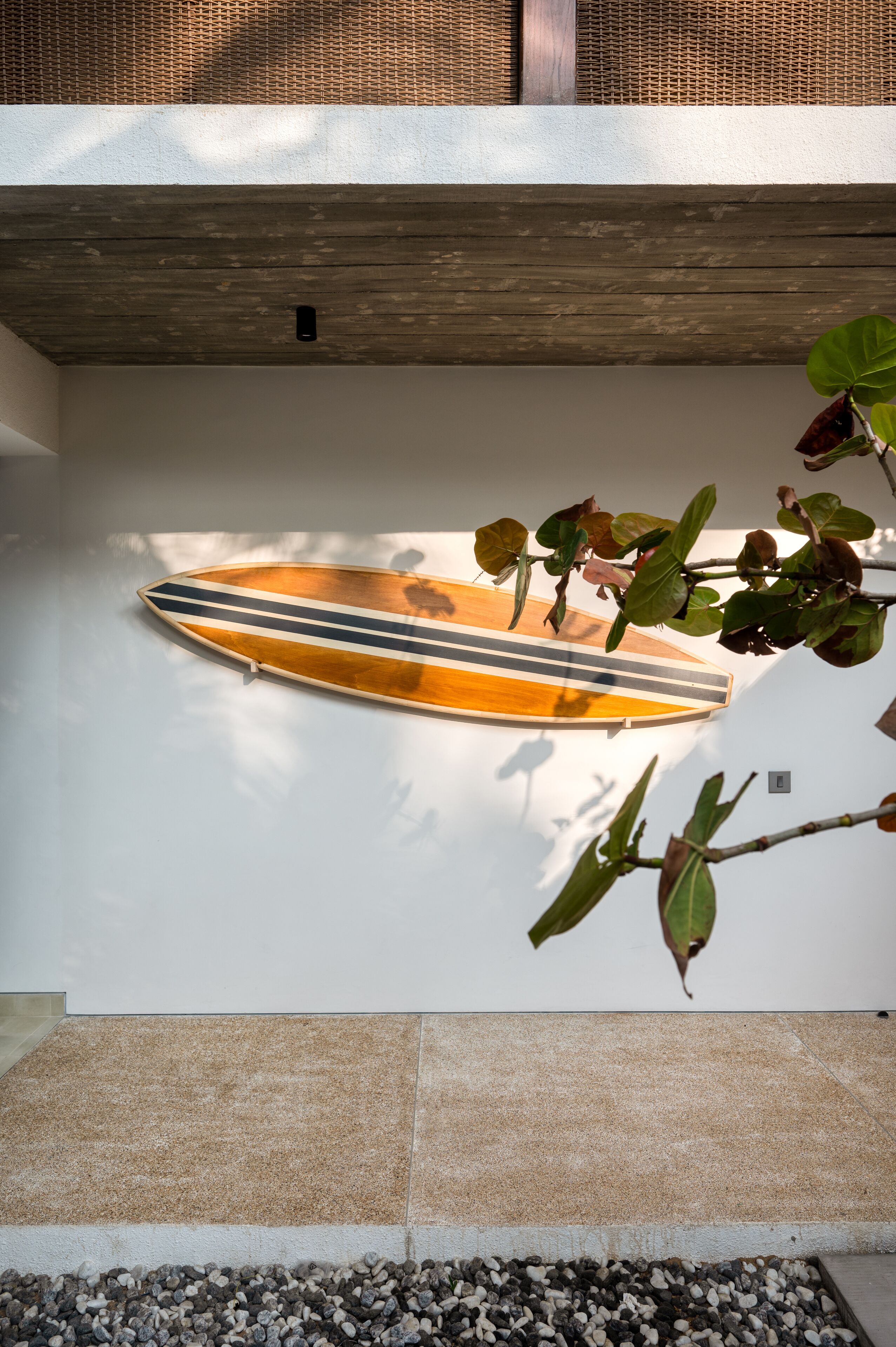 A surfboard mounted on a wall with a textured ceiling and a plant in the foreground.