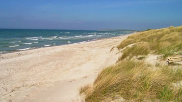Playa en los alrededores