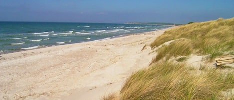 Tæt på stranden