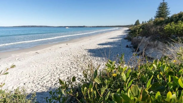 Ein Strand mit weißem Sand und klarem, blauem Wasser. Im Vordergrund befinden sich grüne Pflanzen.