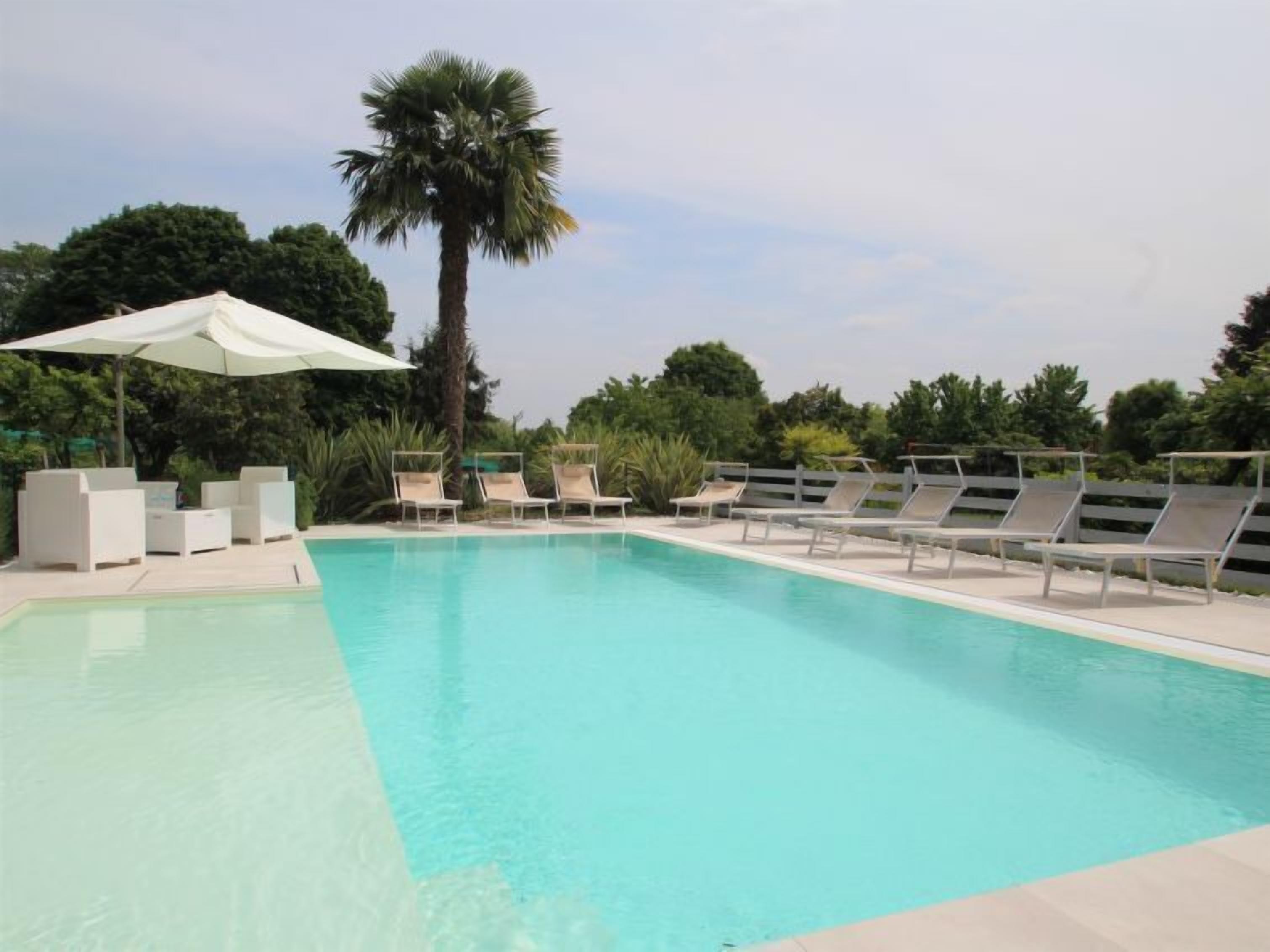 Une piscine avec des chaises longues et un palmier.