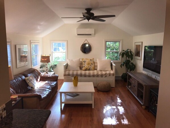 Smart TV, DVD player, books