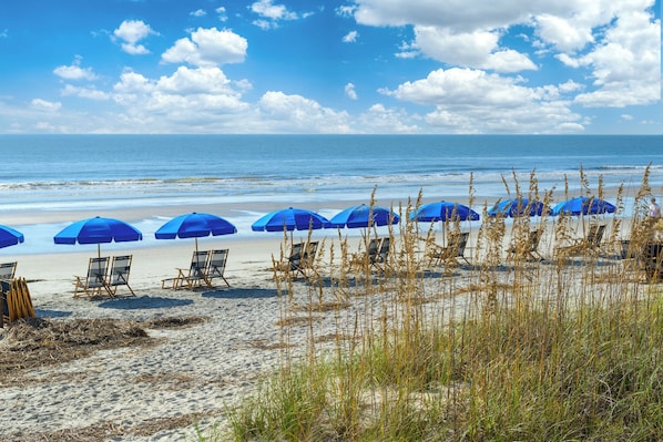 On the beach - LUXURY VILLA STEPS FROM BEACH, POOL, & BIKING, SOUTH FOREST BEACH HILTON HEAD (Hilton Head Island)