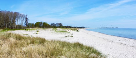 Vlak bij het strand, ligstoelen aan het strand