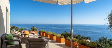 テラス / パティオ