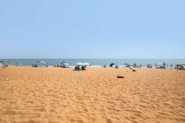 Playa en los alrededores 