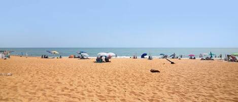 Playa en los alrededores