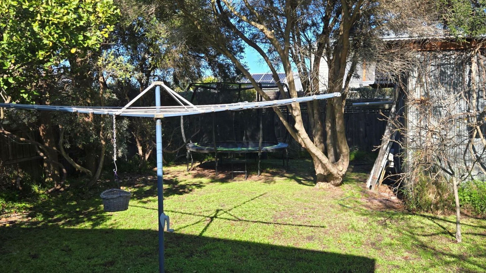 A backyard with a trampoline, a swing set, and a tree.
