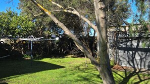 A backyard with a tree, a lawn, and a wooden fence.
