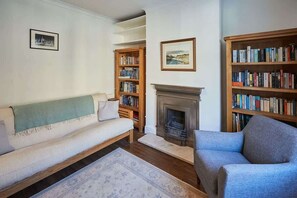 Televisión, chimenea, videojuegos y reproductor de DVD