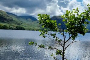 A lake with a tree in the foreground and mountains in the background. - Beautiful 2-bed House in Egremont Milo's Place (Egremont)
