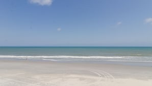 على الشاطئ
