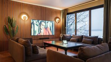 TV, fireplace, offices