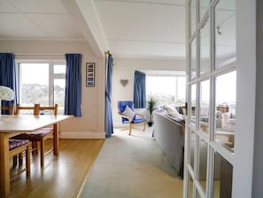 TV, fireplace, books