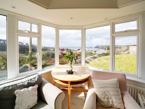 TV, fireplace, books