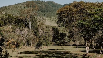 A natural landscape with trees and a hill in the background.