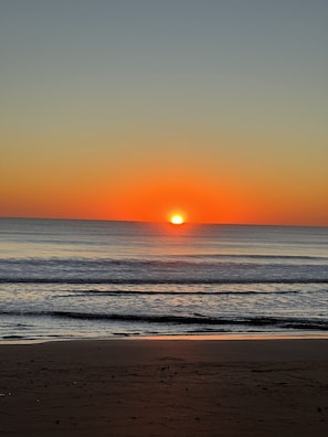 On the beach, sun-loungers, beach towels - Indies House Sought After Beachfront Condo w Pool near shopping and restaurants (Ormond Beach)