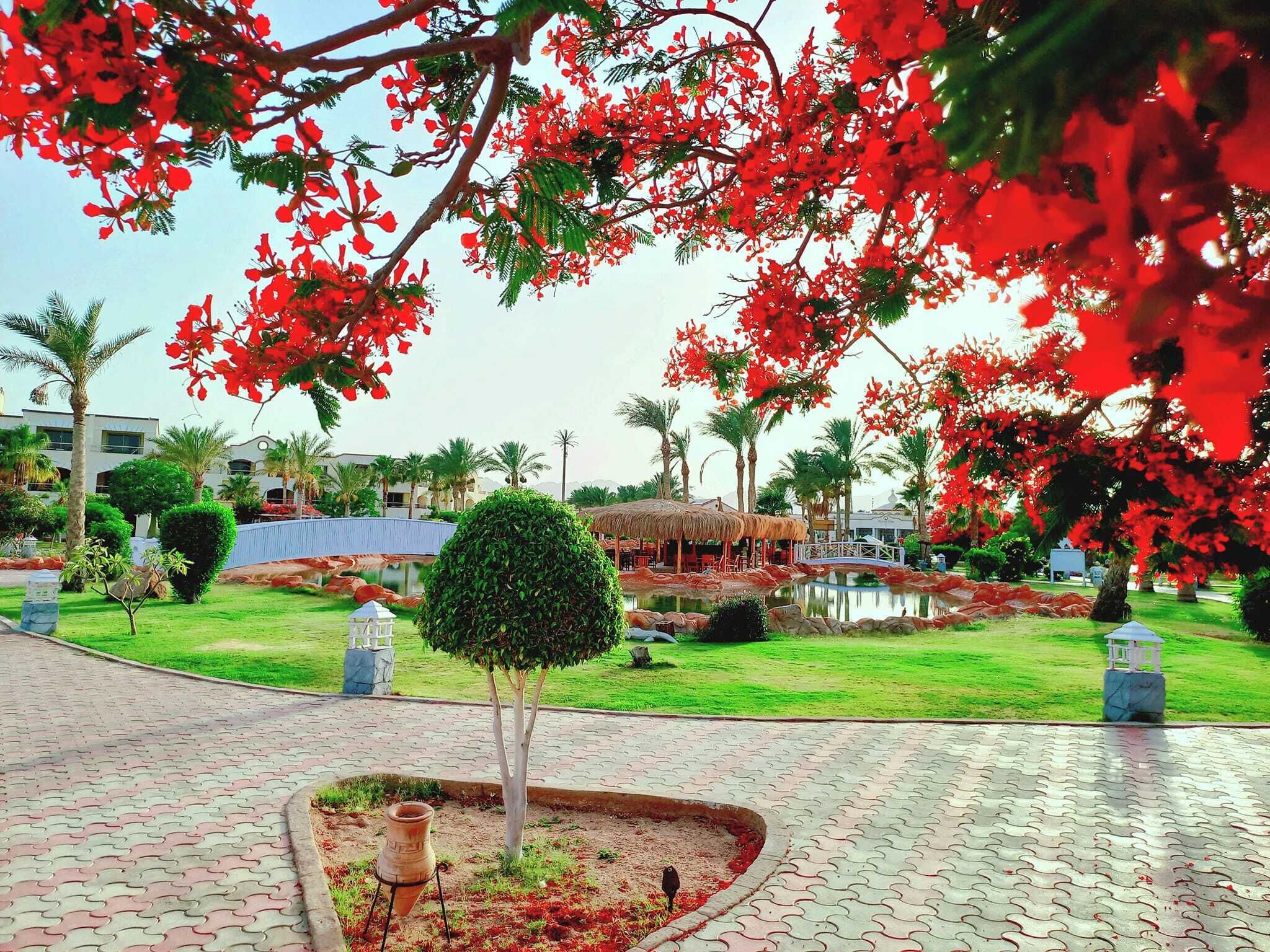 Photo - Regency Plaza Aqua Park and Spa Resort