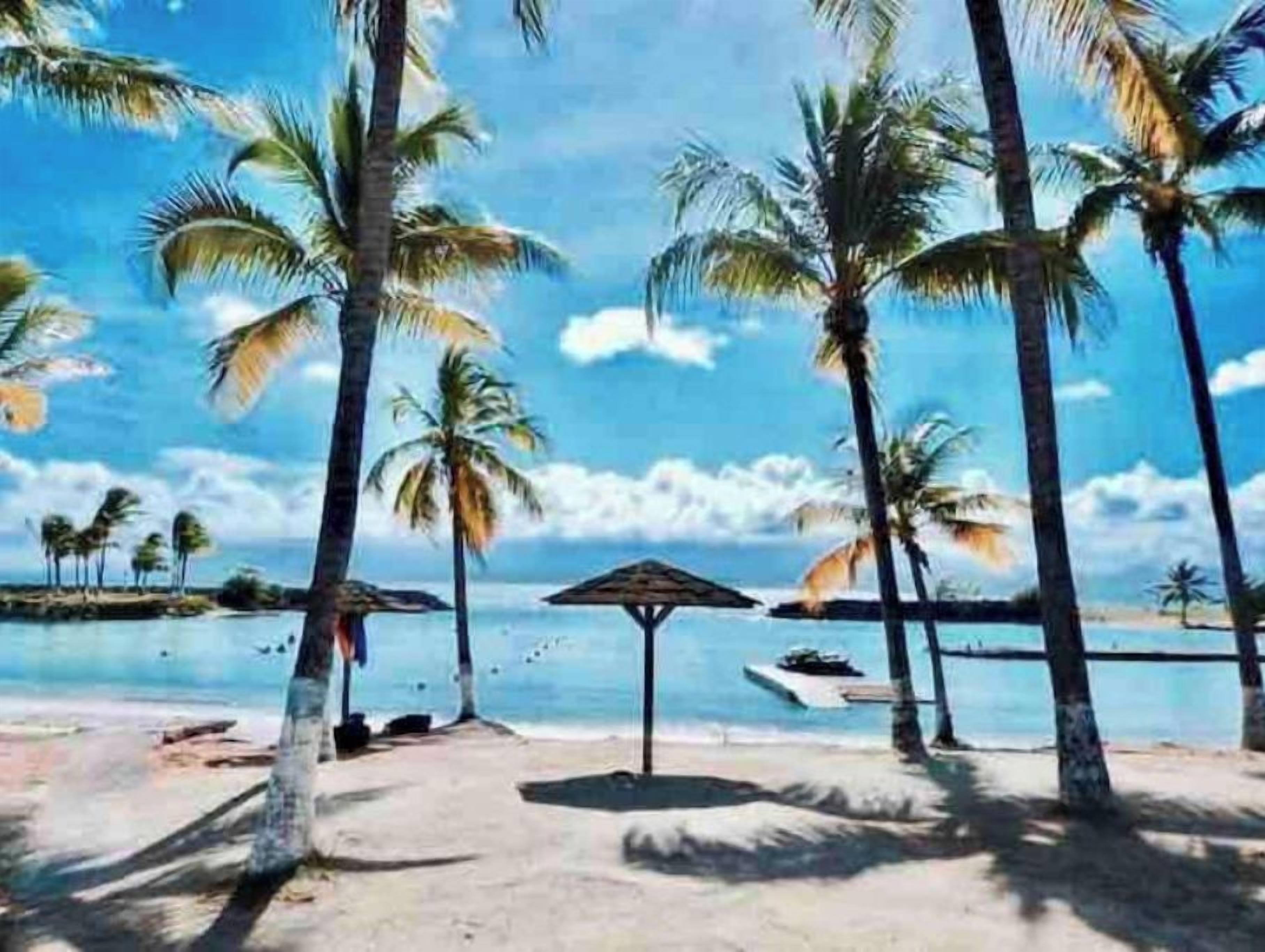 A beach with palm trees and a clear sky.