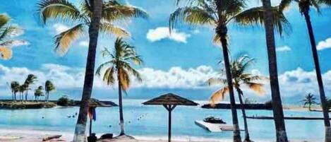 A beach with palm trees and a clear sky.
