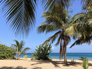 En la playa 