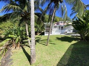 A tropical setting with palm trees, a grassy lawn, and a white building with balconies.