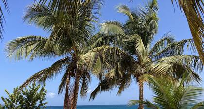 Coco-mango Apt. C vue sur mer à 250 m de la Plage de la Perle