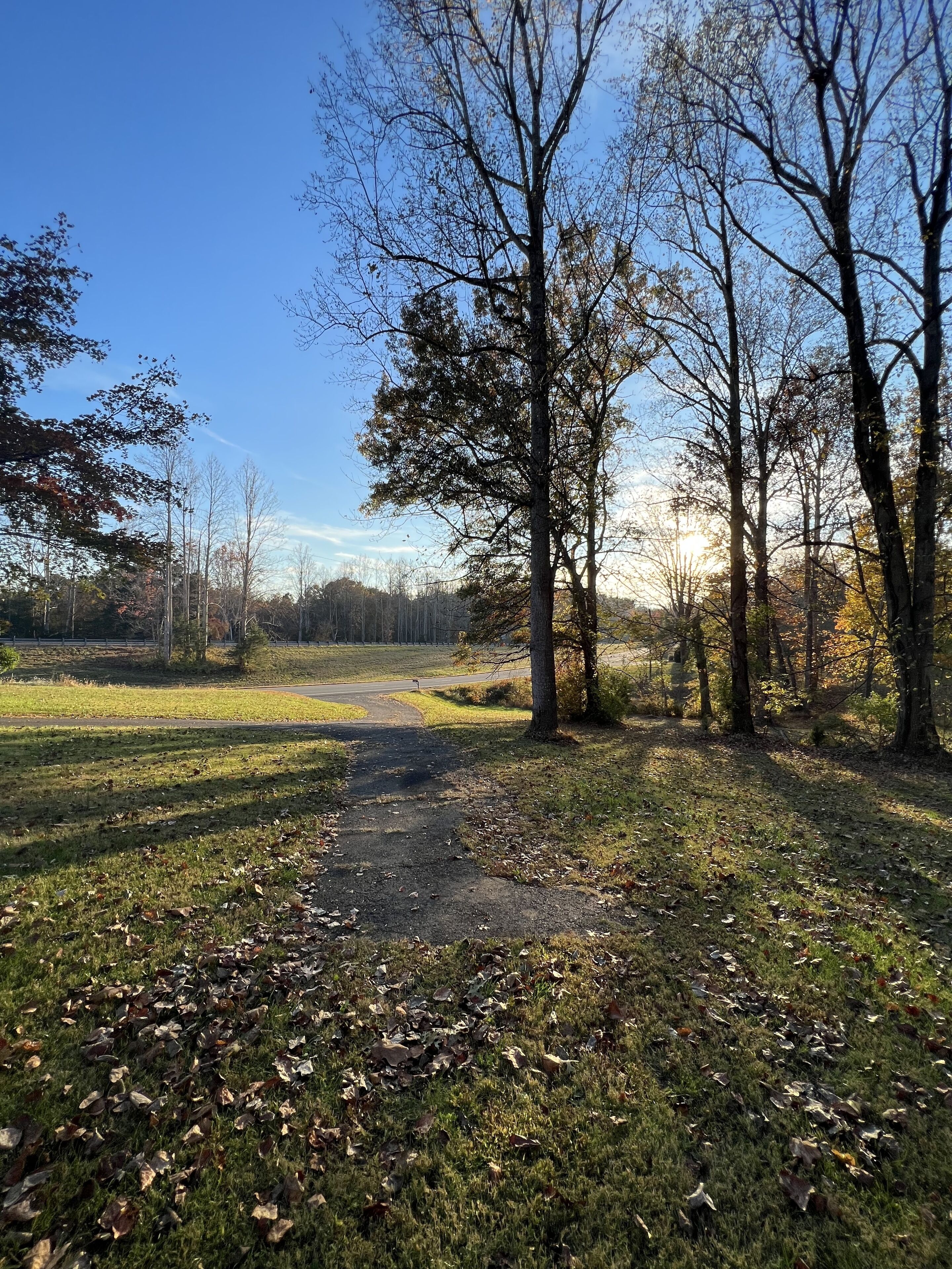 Ein ländlicher Pfad schlängelt sich durch ein bewaldetes Gebiet, blauer Himmel.