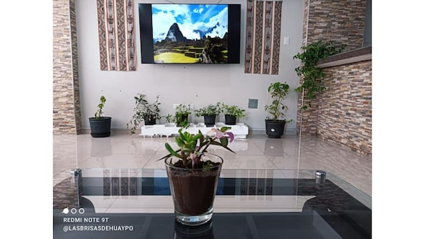 Ein modernes Wohnzimmer mit einem flachbildfernseher an der Wand, einem Glastisch im Vordergrund und einer Reihe von Blumentöpfen an der Wand.
