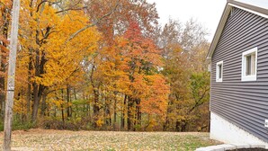 A residential area with a house, a wooden utility pole, and a lawn covered with fallen leaves. - Minutes from the Ark Encounter! (Dry Ridge)