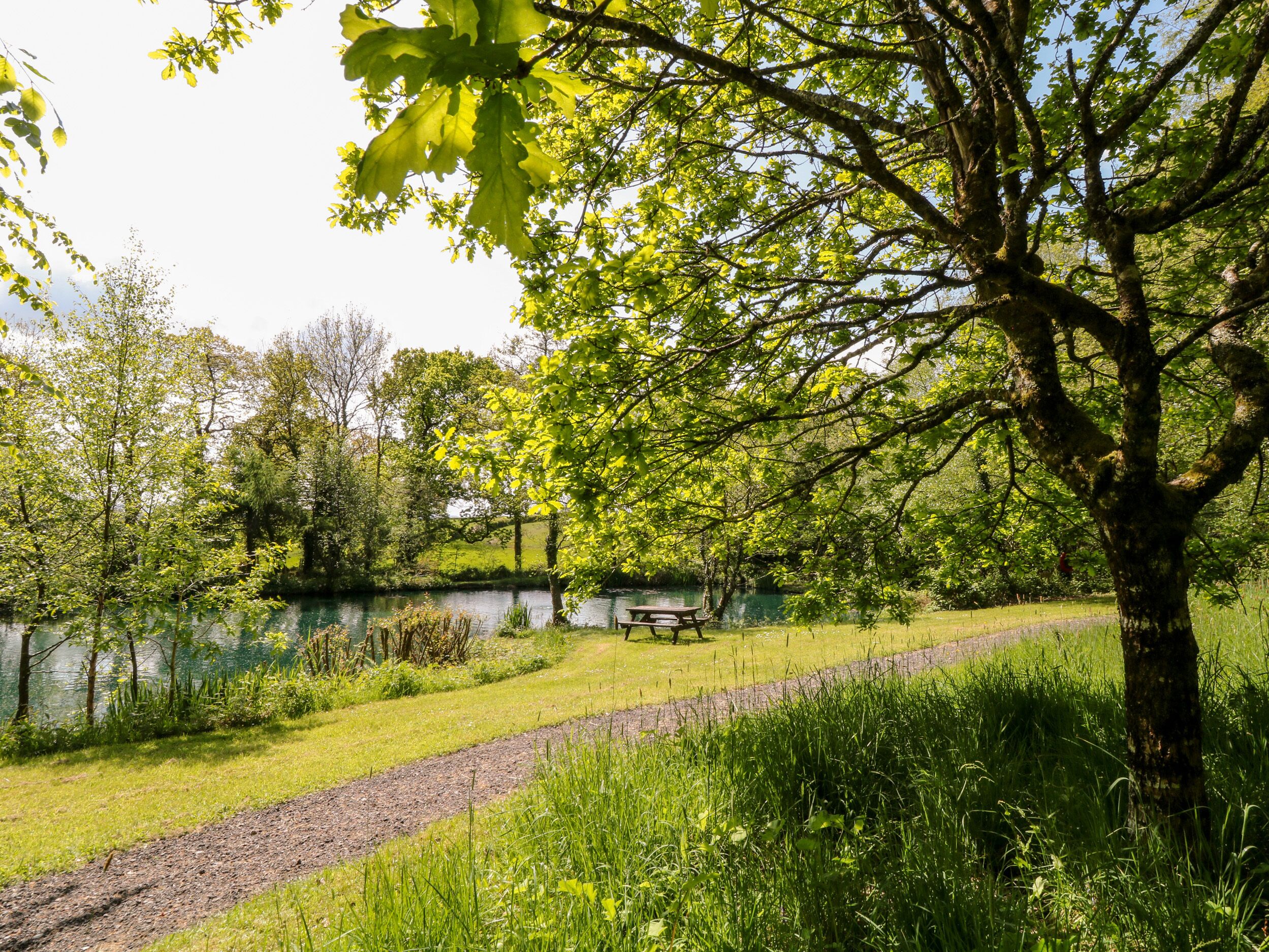 A park with a picnic table and a walking path.