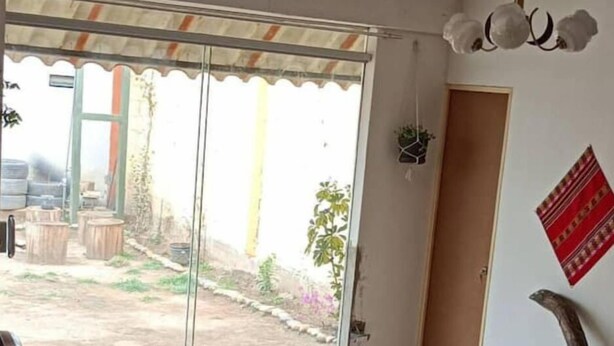 Habitación con puerta corrediza de vidrio que da a un espacio exterior, una banca de madera y una planta en la pared.