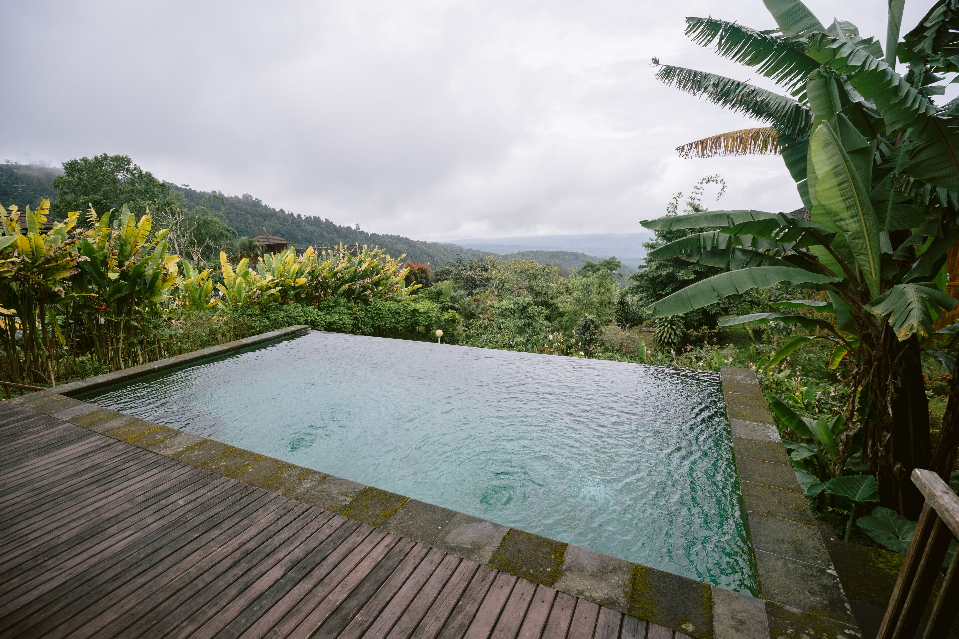 An infinity pool with a wooden deck, surrounded by lush greenery and a mountainous backdrop.