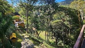 Un sendero atraviesa un exuberante jardín con vistas a una montaña al fondo.
