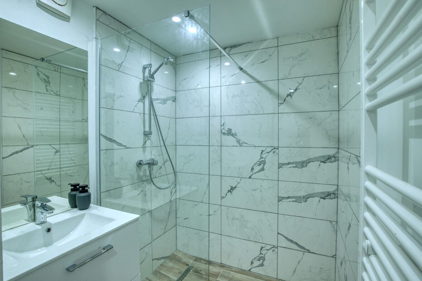 Bathtub, hair dryer, shampoo, toilet paper