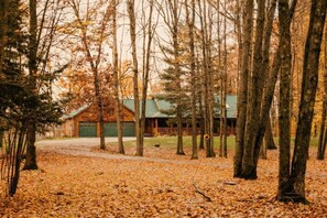 A cabin surrounded by trees with a gravel path leading to it.