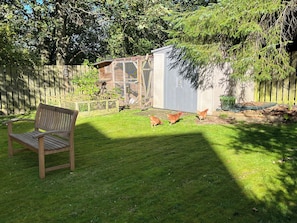 A backyard with a wooden bench, a fenced area, and a small shed.