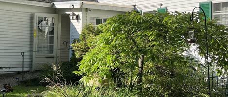 A white building with green shutters, a covered porch, and a garden with various plants and a pathway.