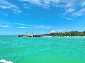 Niet-geclassificeerde afbeelding, 4 van 30, knop